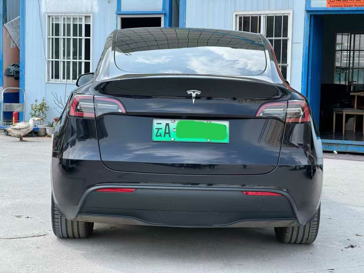 特斯拉 Model S  2023款 三電機(jī)全輪驅(qū)動 Plaid版圖片