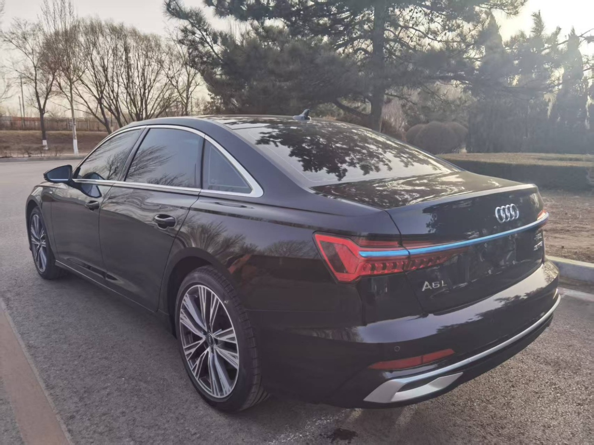 奧迪 奧迪A6L  2025款 45 TFSI 臻選動感型+通風(fēng)舒享包圖片