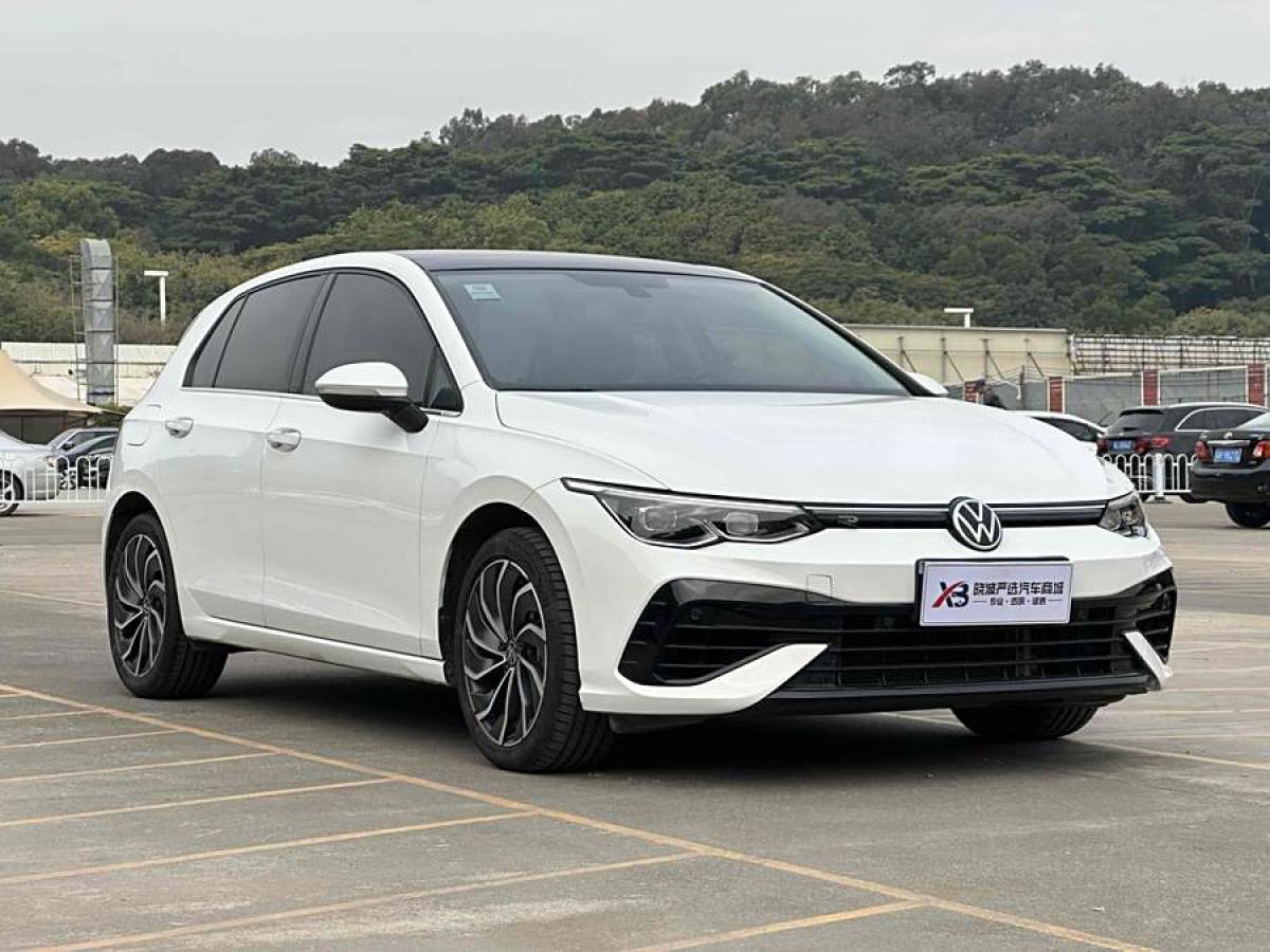 大眾 高爾夫  2021款 280TSI DSG 30周年紀(jì)念版圖片