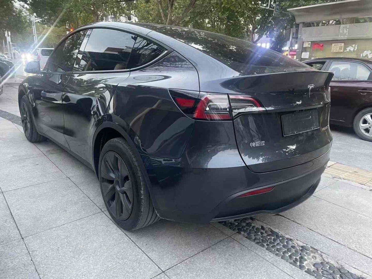 特斯拉 Model Y  2020款 改款 長(zhǎng)續(xù)航后輪驅(qū)動(dòng)版圖片