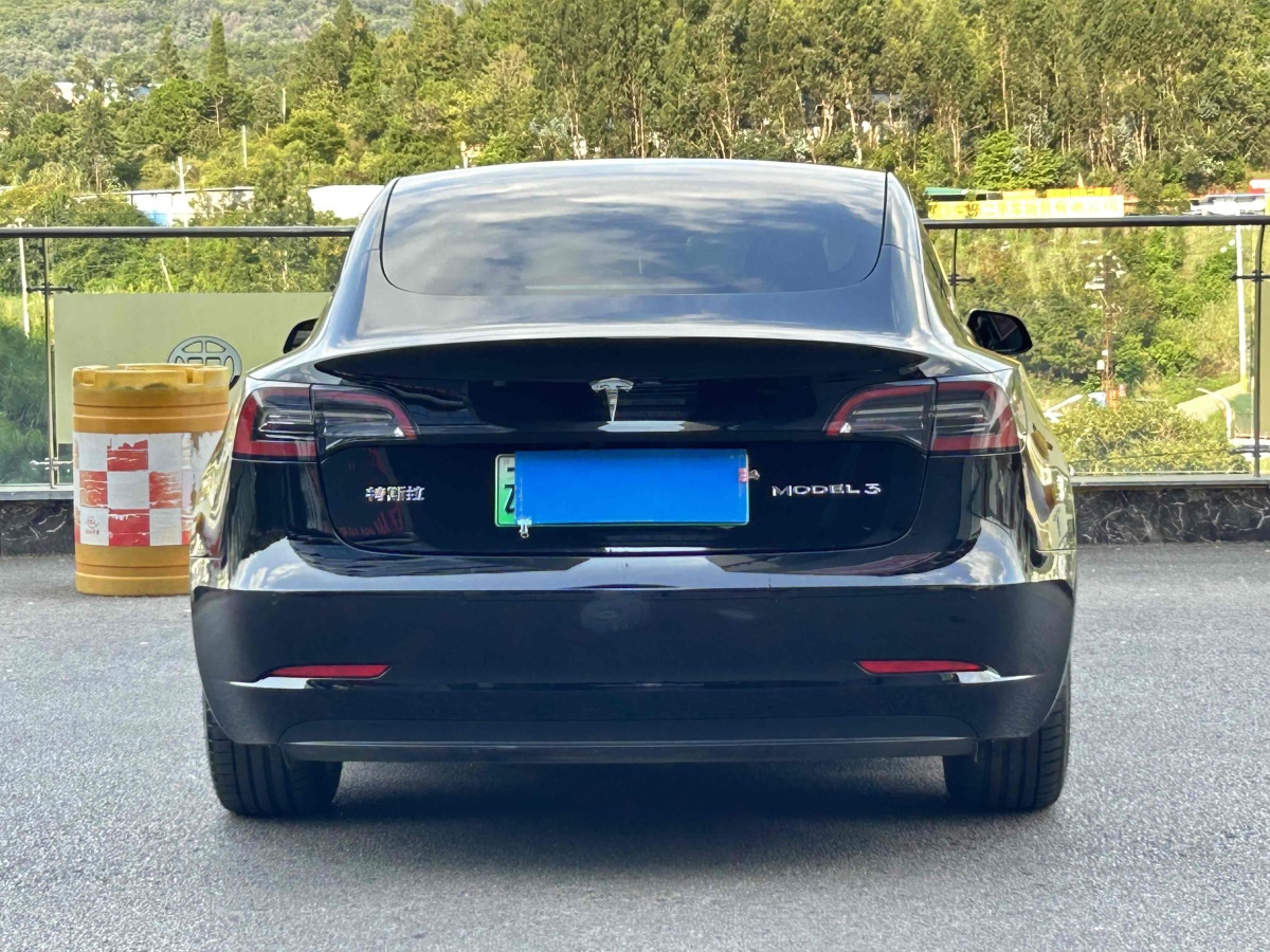 特斯拉 Model Y  2021款 標(biāo)準(zhǔn)續(xù)航后驅(qū)升級(jí)版 3D6圖片