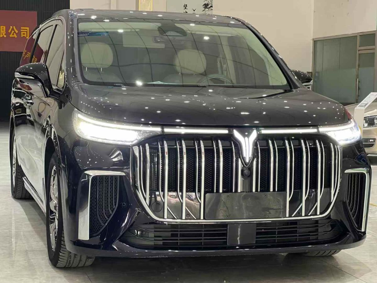 嵐圖 夢想家  2024款 EV 超長續(xù)航卓越版圖片