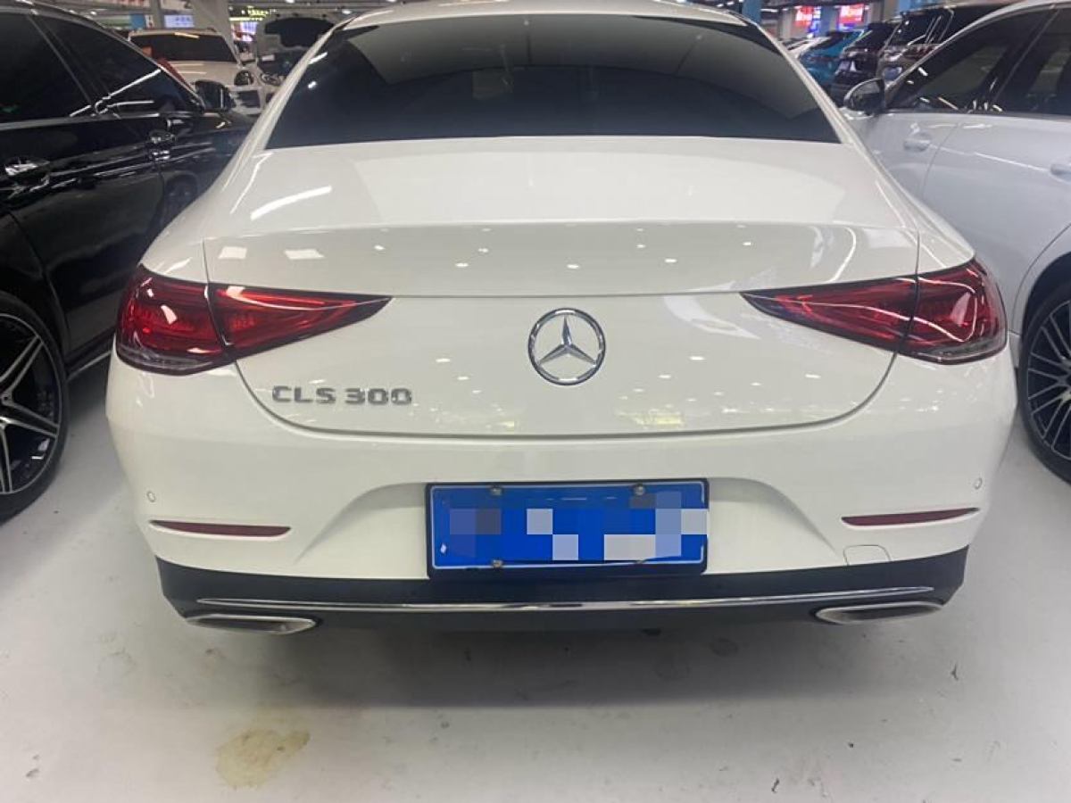 奔馳 奔馳CLS級(jí)  2018款 CLS 300 動(dòng)感型圖片