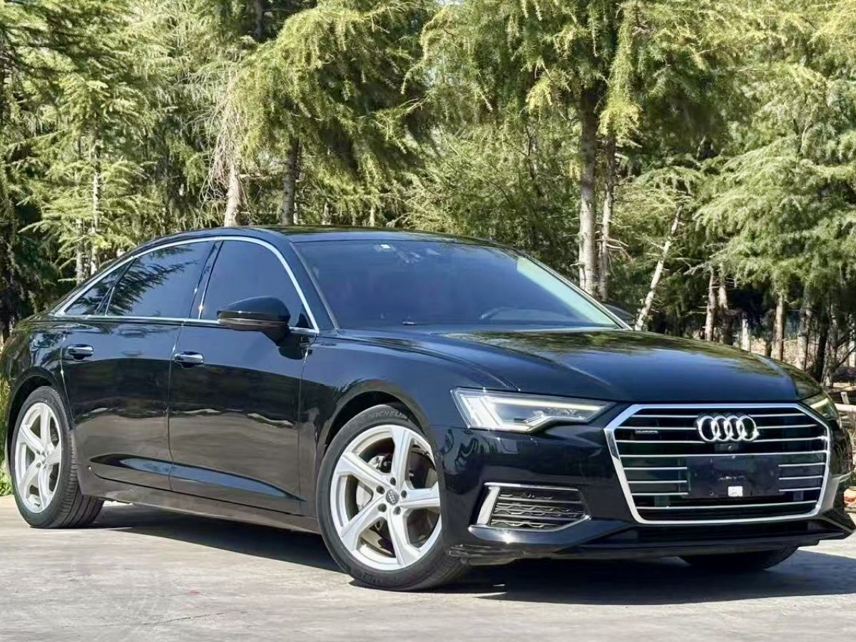 2019年11月奧迪 奧迪A6L  2019款 45 TFSI quattro 臻選致雅型