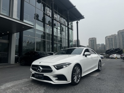 2020年6月 奔馳 奔馳CLS級(jí)(進(jìn)口) CLS 300 動(dòng)感型圖片