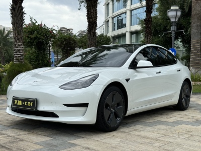 2021年7月 特斯拉 Model 3 标准续航后驱升级版图片