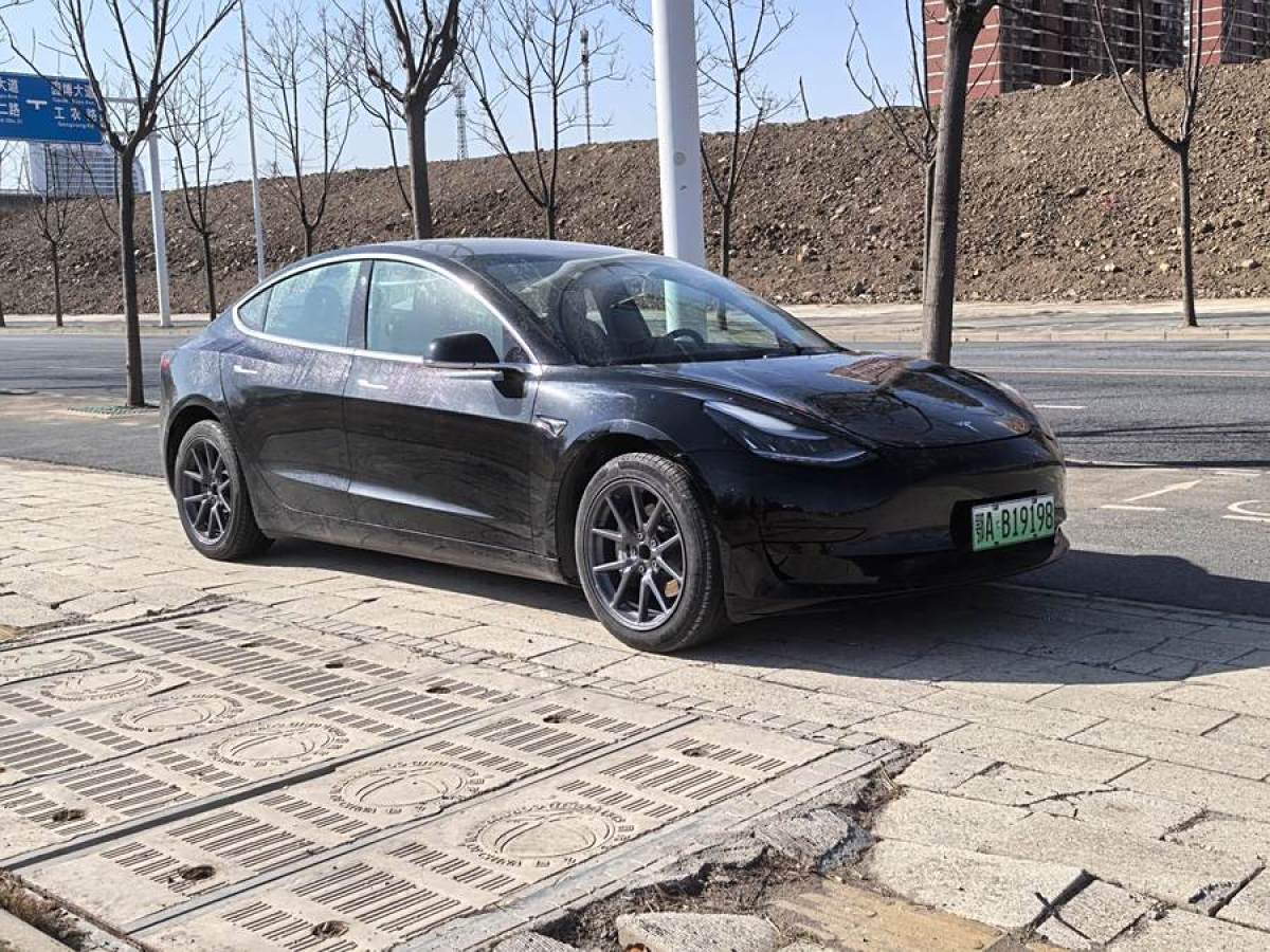 特斯拉 Model 3  2019款 標(biāo)準(zhǔn)續(xù)航后驅(qū)升級版圖片