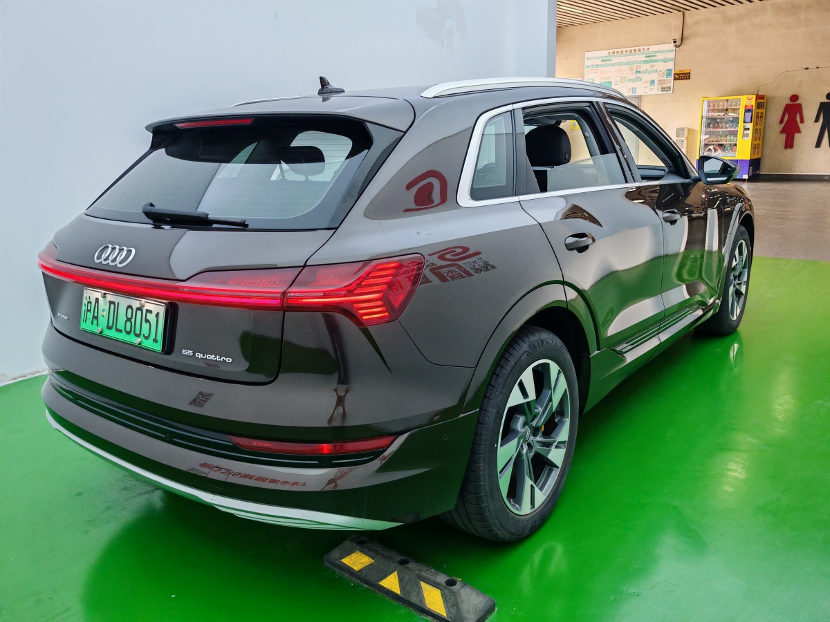 2021年1月奧迪 奧迪Q7新能源  2019款 55 e-tron