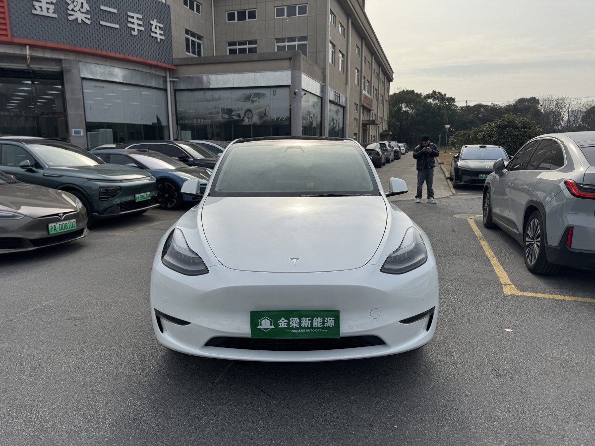 特斯拉 Model 3  2021款 改款 Performance高性能全輪驅(qū)動版圖片