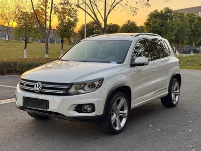 2013年3月 大眾 Tiguan(進口) 2.0TSI 專享版圖片