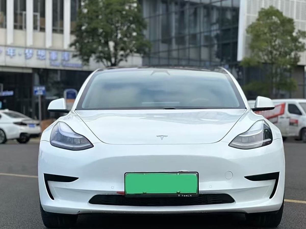 特斯拉 Model 3  2019款 標(biāo)準(zhǔn)續(xù)航后驅(qū)升級(jí)版圖片