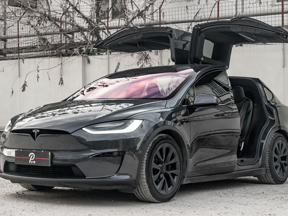 特斯拉 Model X  2023款 雙電機(jī)全輪驅(qū)動版圖片