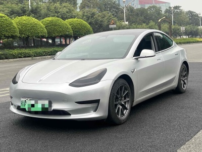 2020年6月 特斯拉 Model 3 標(biāo)準(zhǔn)續(xù)航后驅(qū)升級(jí)版圖片