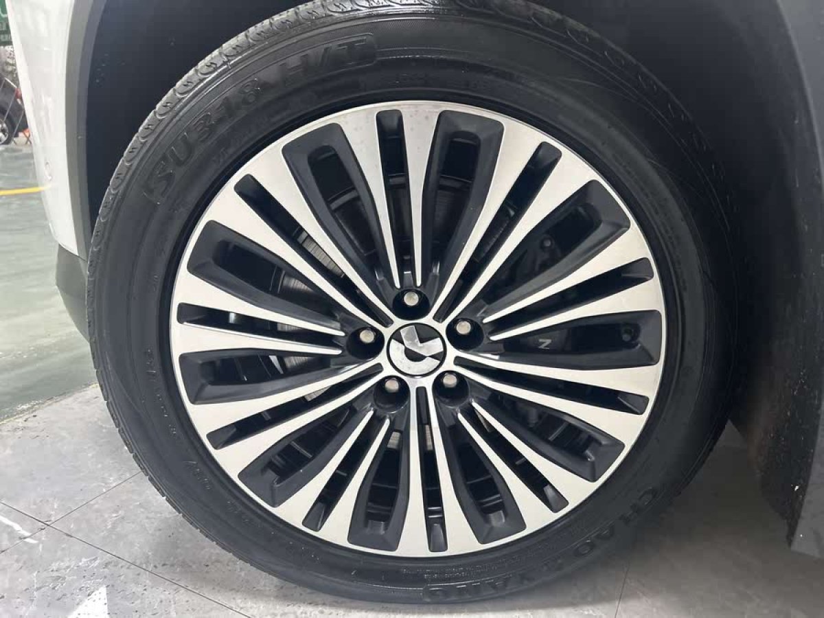 蔚來 蔚來EC6  2020款 440KM 性能版圖片