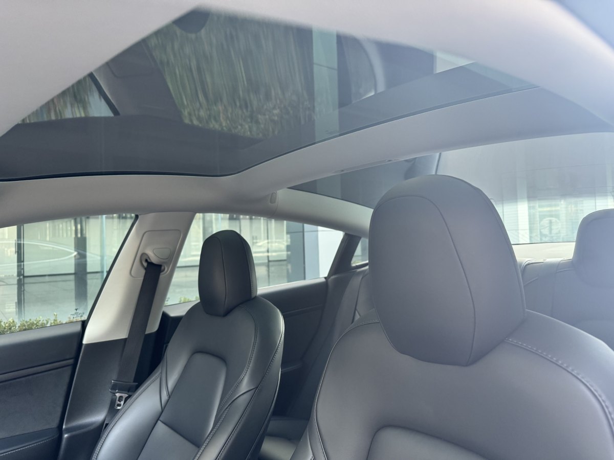 特斯拉 Model 3  2019款 標(biāo)準(zhǔn)續(xù)航后驅(qū)升級(jí)版圖片