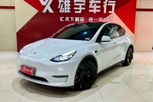 Model Y 特斯拉 長續(xù)航全輪驅(qū)動版