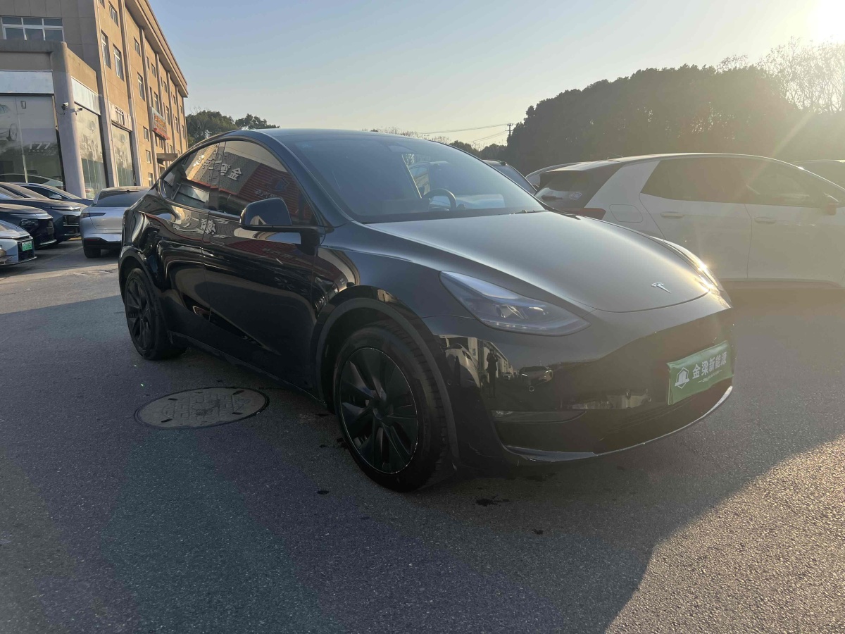 特斯拉 Model 3  2023款 長(zhǎng)續(xù)航煥新版 雙電機(jī)全輪驅(qū)動(dòng)圖片