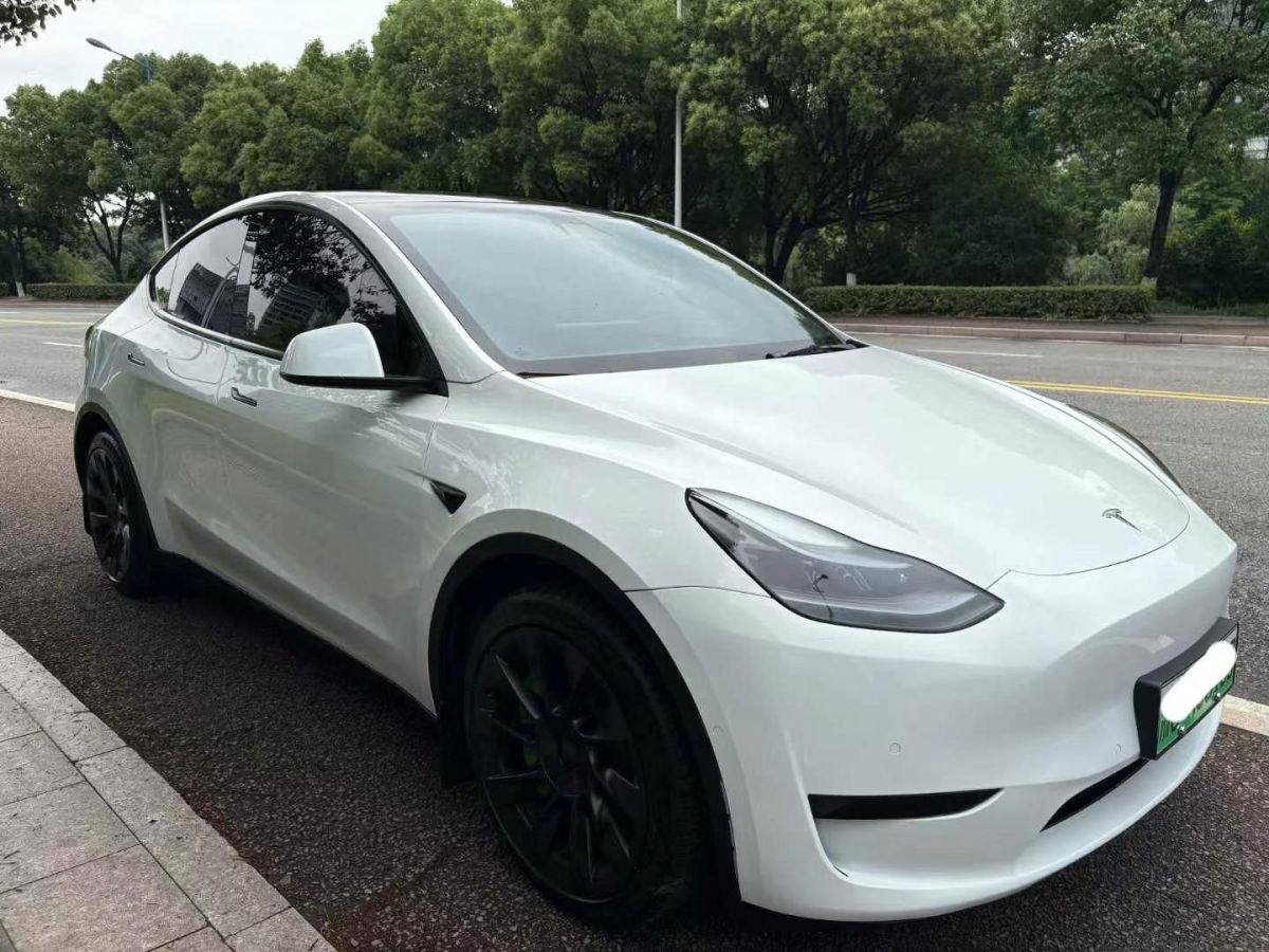 特斯拉 Model S  2023款 三電機(jī)全輪驅(qū)動(dòng) Plaid版圖片
