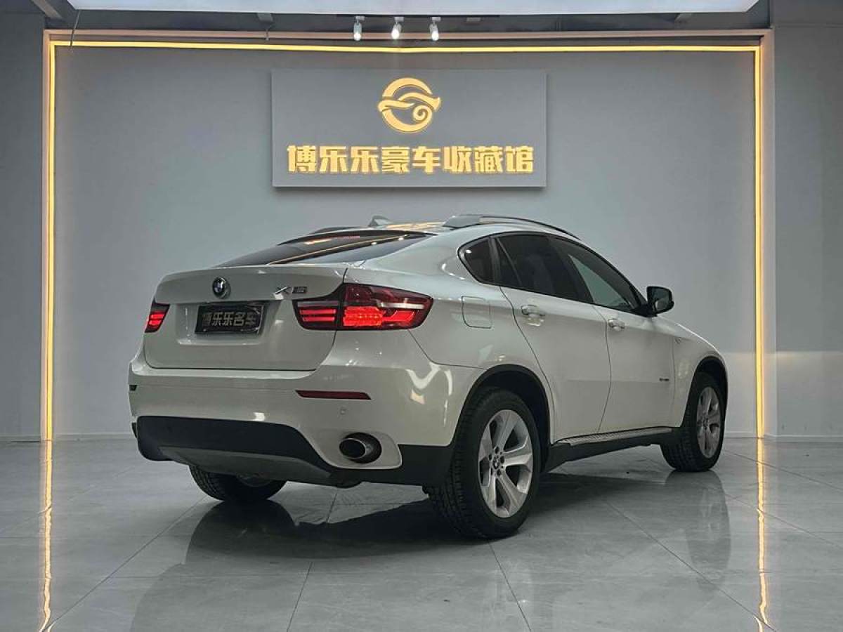 寶馬 寶馬X6  2014款 xDrive35i 運(yùn)動(dòng)型圖片