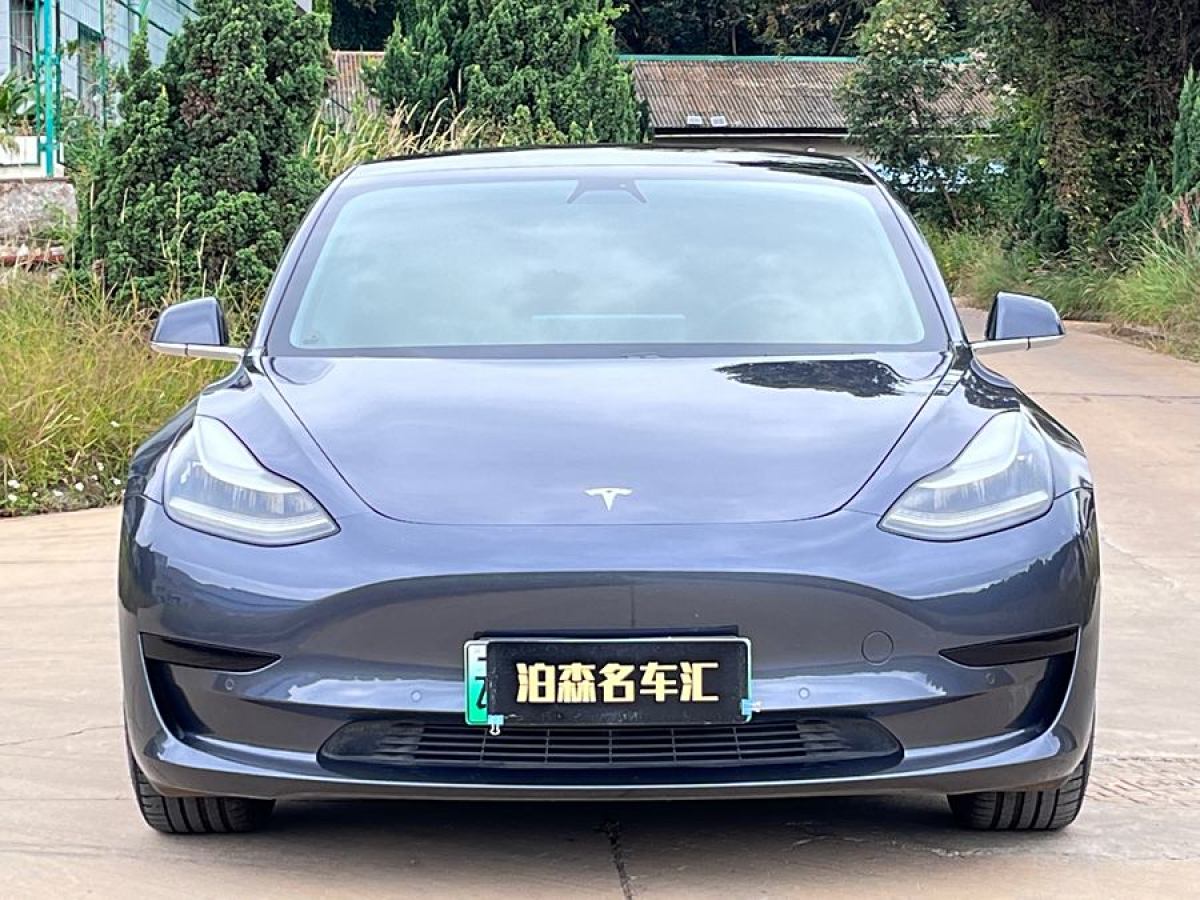 特斯拉 Model Y  2020款 改款 標準續(xù)航后驅(qū)升級版圖片