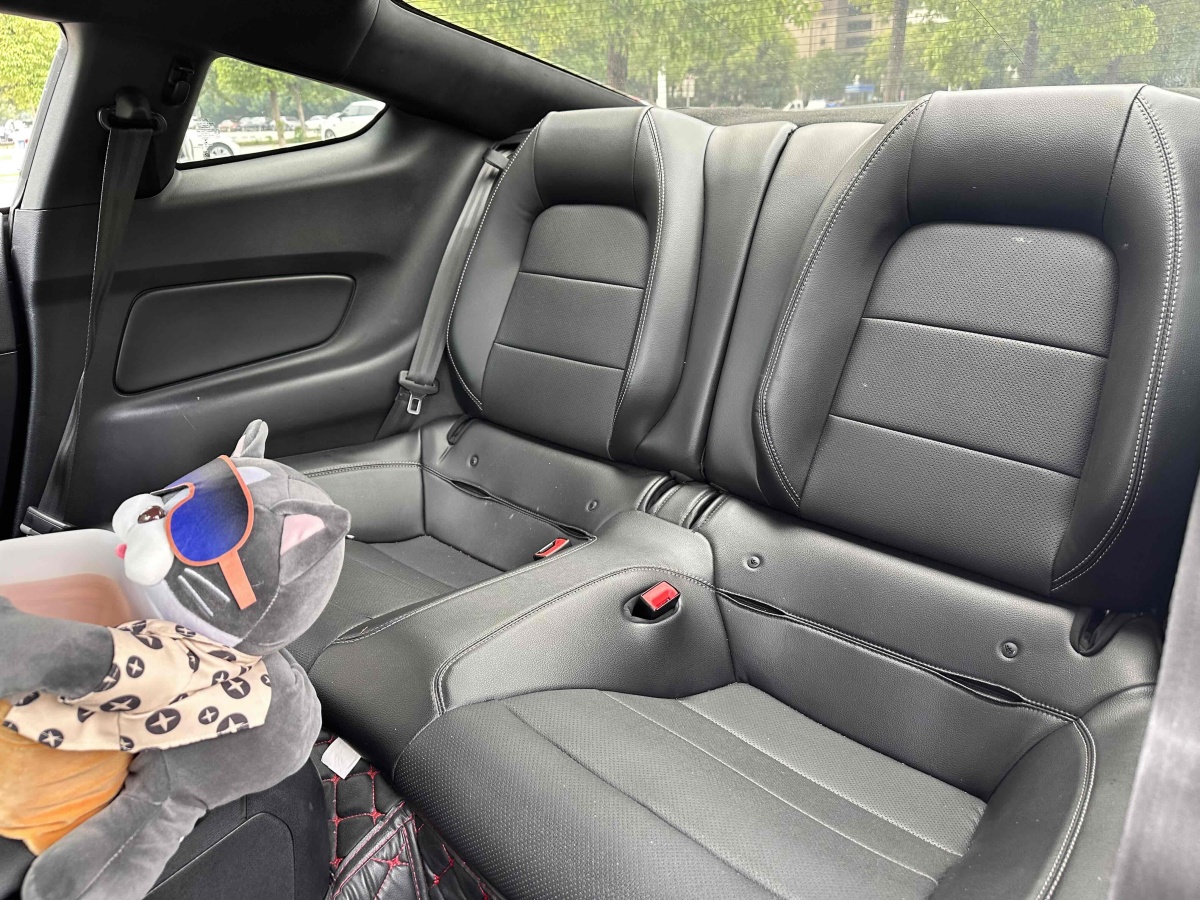 福特 Mustang  2019款 2.3L EcoBoost圖片