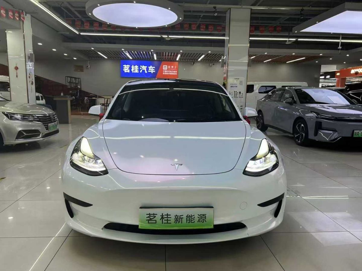 特斯拉 Model Y  2022款 Performance高性能全輪驅(qū)動(dòng)版圖片