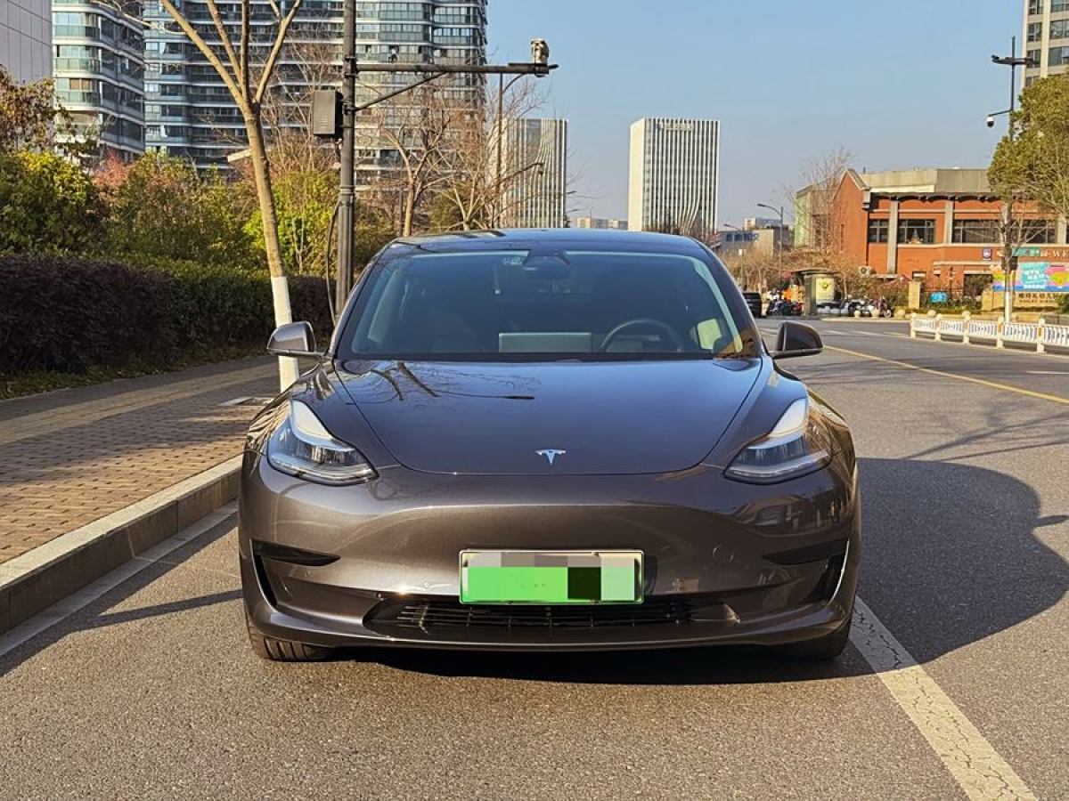 特斯拉 Model 3  2020款 改款 標準續(xù)航后驅升級版圖片