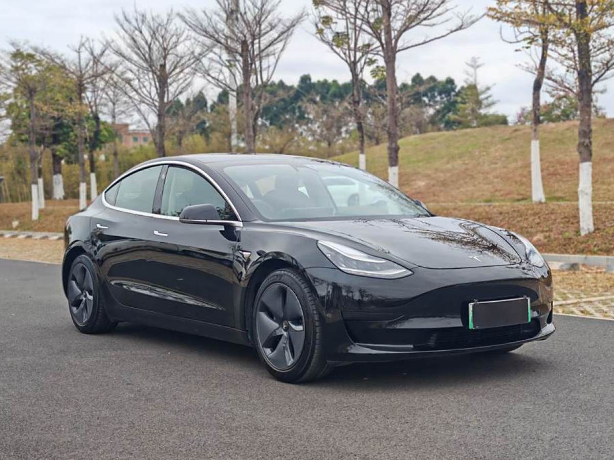 特斯拉 Model 3  2020款 改款 標(biāo)準(zhǔn)續(xù)航后驅(qū)升級版圖片