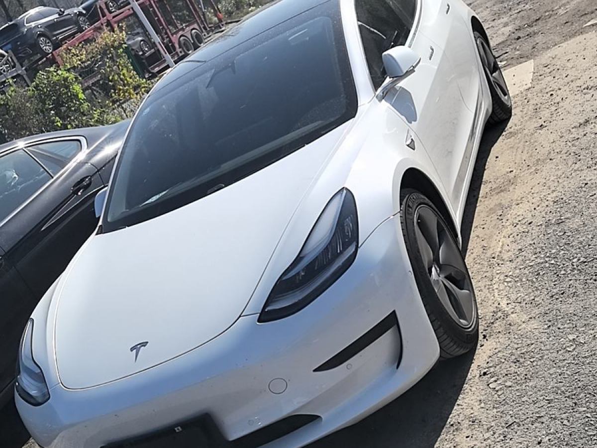 特斯拉 Model 3  2020款 改款 標(biāo)準(zhǔn)續(xù)航后驅(qū)升級(jí)版圖片