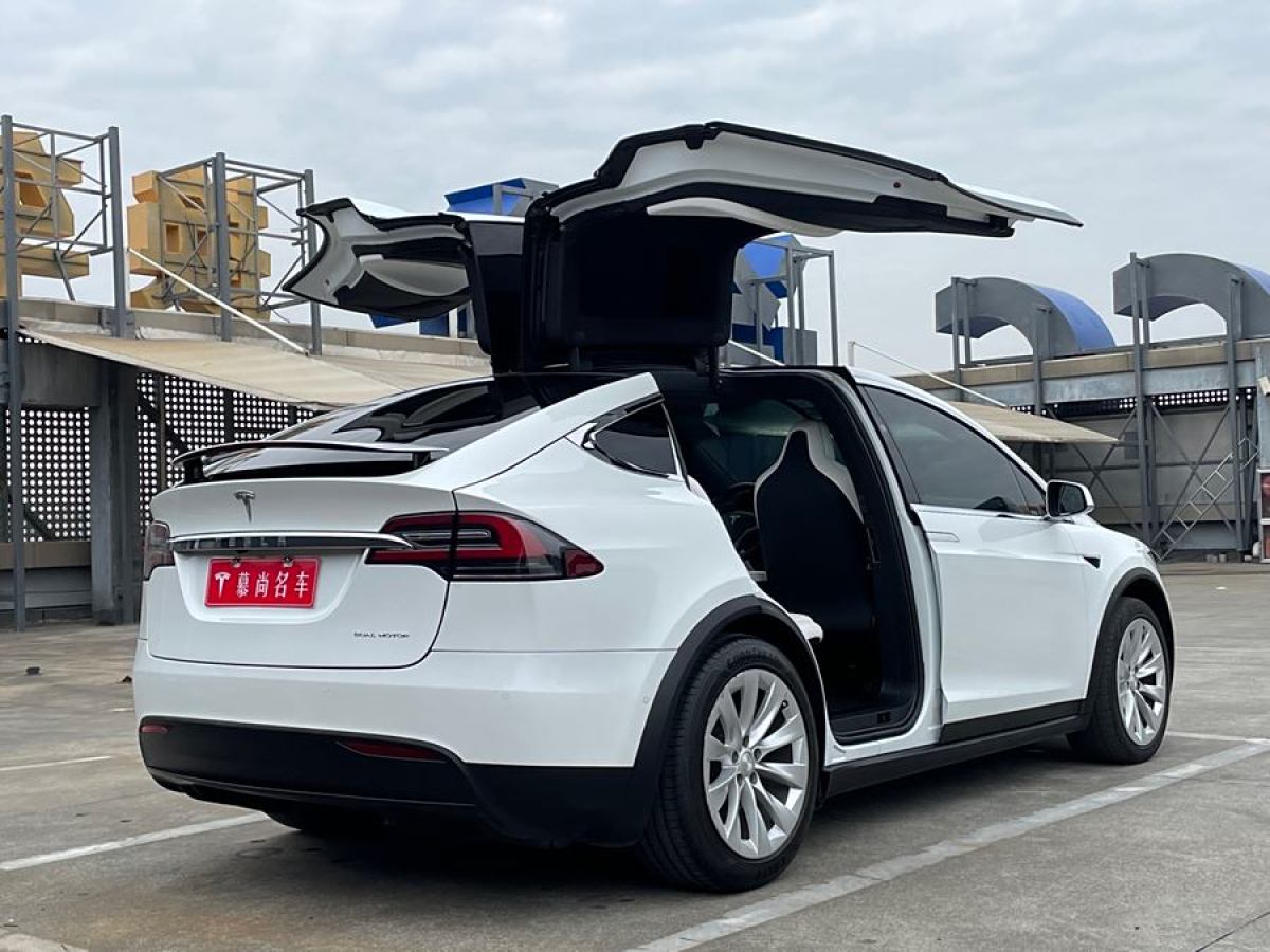 特斯拉 Model X  2019款 長續(xù)航版圖片