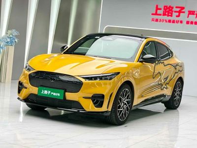 2024年1月 福特 Mustang Mach-E(進(jìn)口) GT圖片