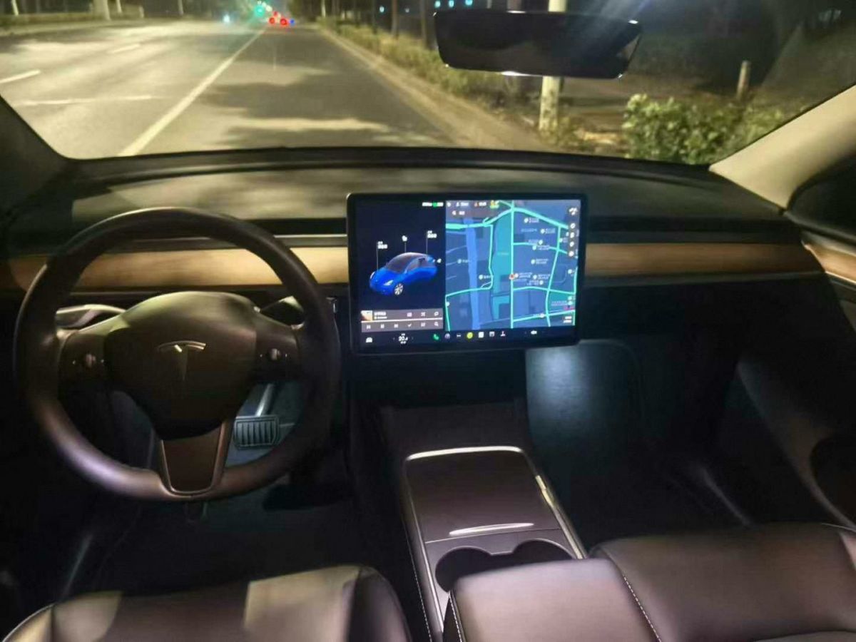 特斯拉 Model 3  2022款 Performance高性能全輪驅(qū)動版圖片