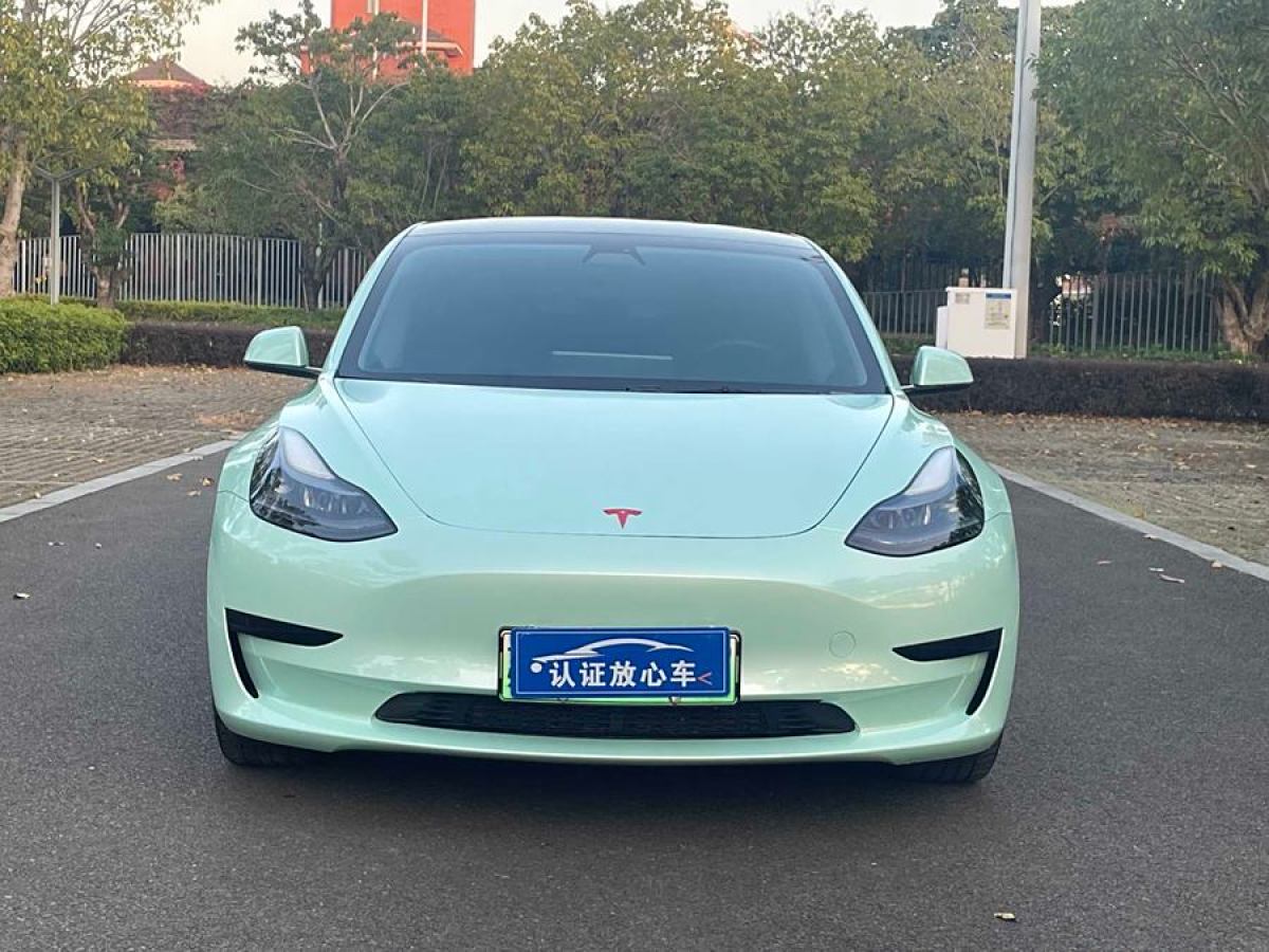 特斯拉 Model 3  2021款 改款 標(biāo)準(zhǔn)續(xù)航后驅(qū)升級版圖片