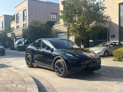 2023年10月 特斯拉 Model Y 后驅(qū)版圖片