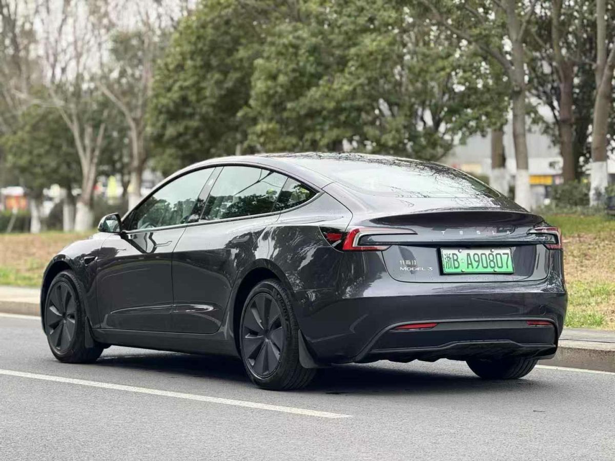 特斯拉 Model Y  2024款 Performance高性能版圖片