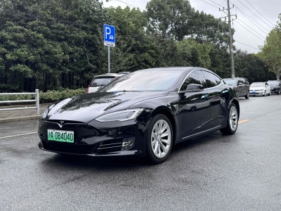 2019年1月 特斯拉 Model S Model S 75D图片