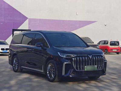 2023年12月 嵐圖 夢想家 PHEV 超長續(xù)航旗艦版圖片