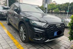 奧迪Q5 e-tron 奧迪 40 e-tron 星耀型 影武士版