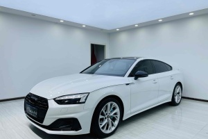 奧迪A5 奧迪 Sportback 40 TFSI 時(shí)尚致雅型