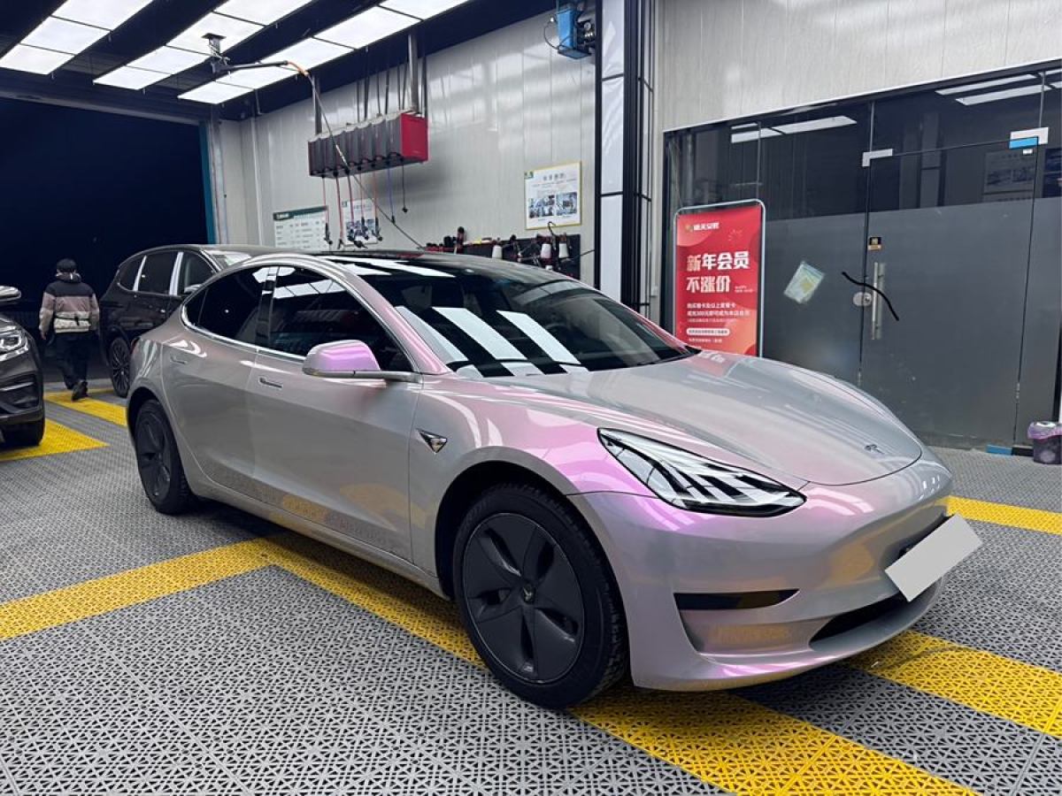 特斯拉 Model 3  2020款 改款 標(biāo)準(zhǔn)續(xù)航后驅(qū)升級版圖片