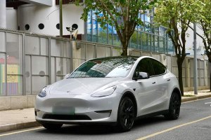 Model Y 特斯拉 標(biāo)準(zhǔn)續(xù)航后驅(qū)版