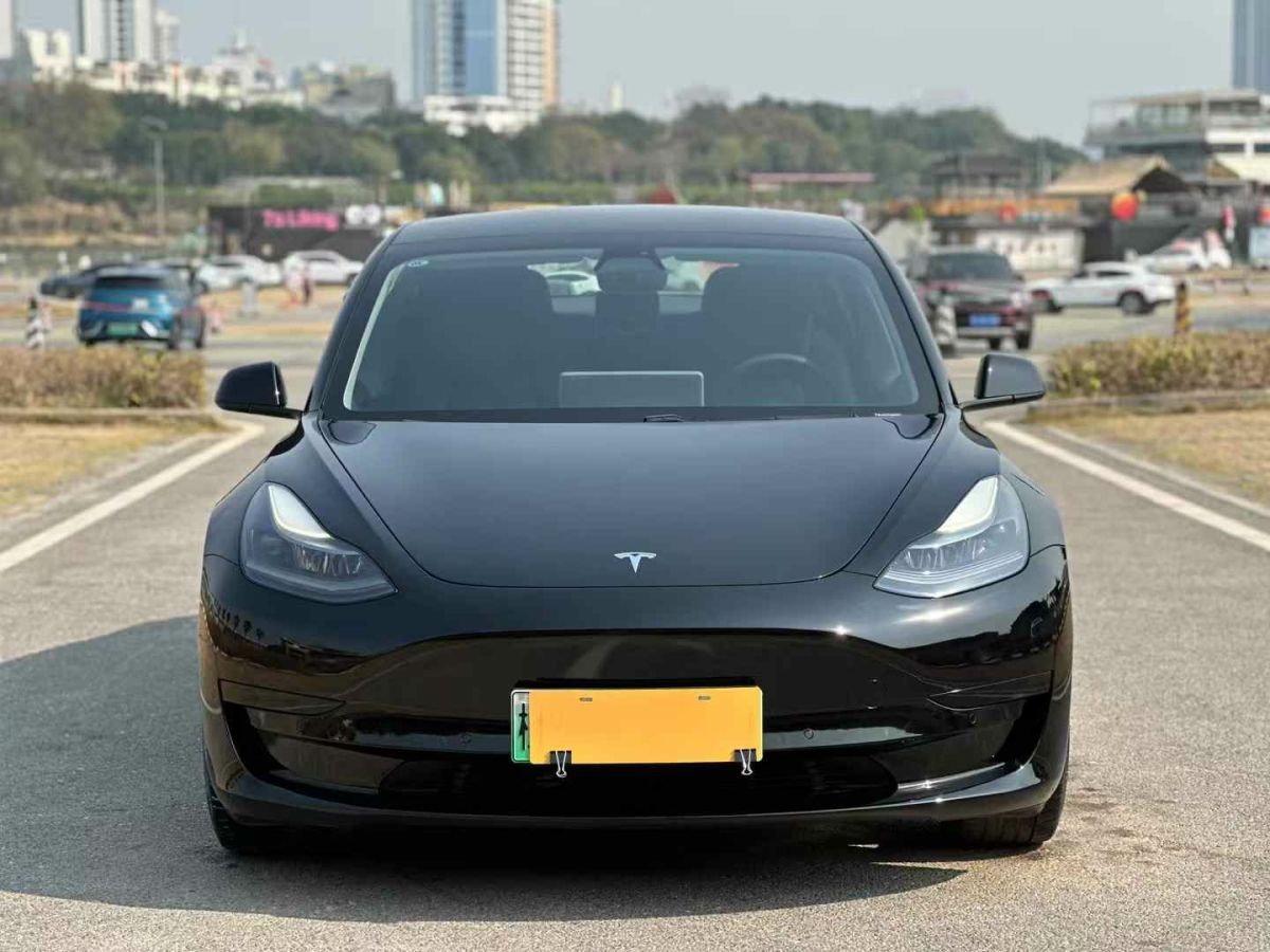 2021年1月特斯拉 Model Y  2021款 標(biāo)準(zhǔn)續(xù)航后驅(qū)版