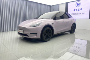 Model Y 特斯拉 改款 后輪驅(qū)動(dòng)版