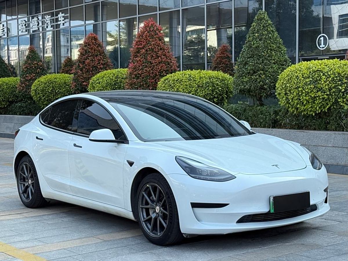 特斯拉 Model 3  2020款 改款 標(biāo)準(zhǔn)續(xù)航后驅(qū)升級版圖片