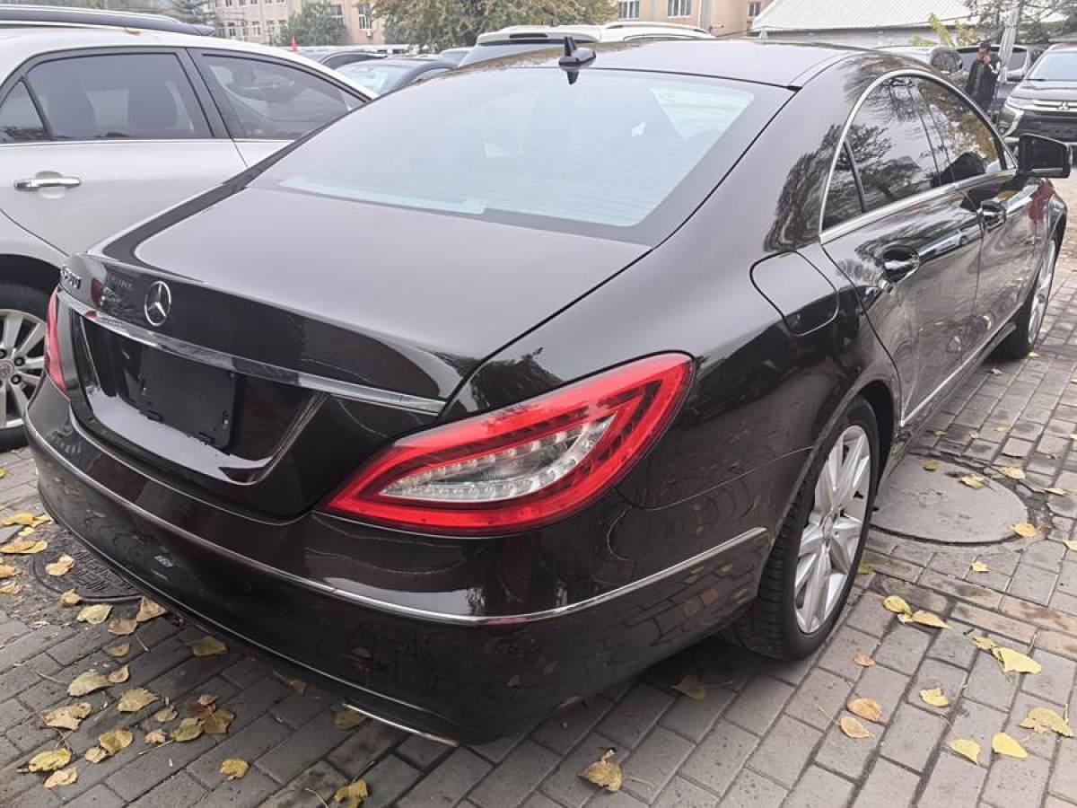 奔馳 奔馳CLS級  2012款 CLS 300 CGI圖片