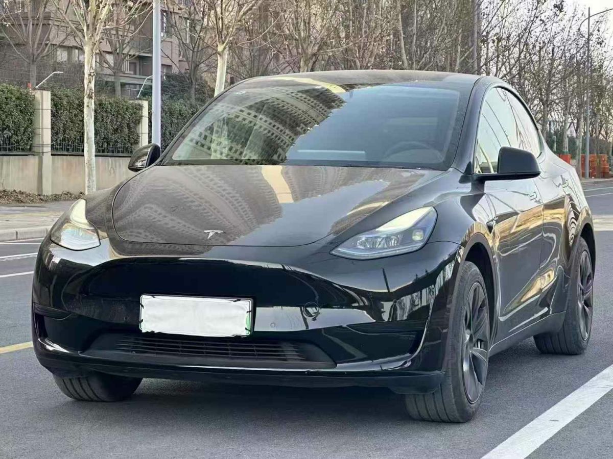 特斯拉 Model Y  2024款 Performance高性能版圖片