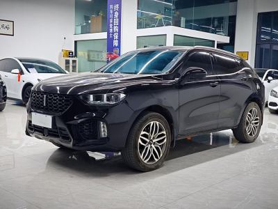 2019年2月 WEY VV5 升級(jí)款 2.0T 兩驅(qū)超豪型圖片