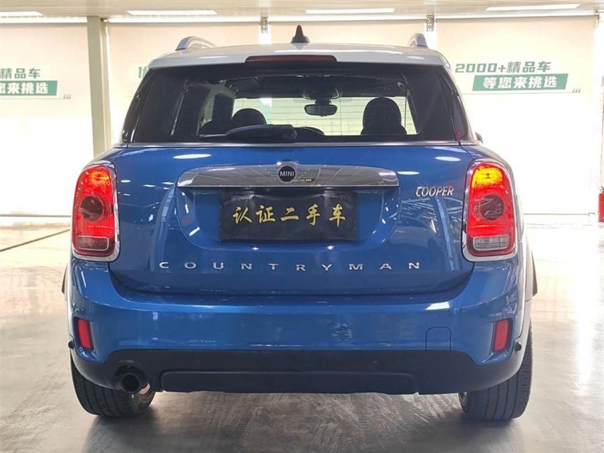 MINI COUNTRYMAN  2018款 1.5T COOPER ALL4 藝術(shù)家圖片