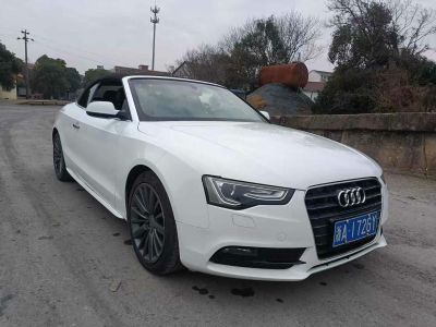 2012年1月 奧迪 奧迪A5(進(jìn)口) A5 Cabriolet 2.0T Quattro圖片