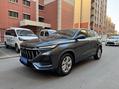 2021年5月 長(zhǎng)安歐尚 長(zhǎng)安歐尚X5 1.6L CVT旗艦型圖片